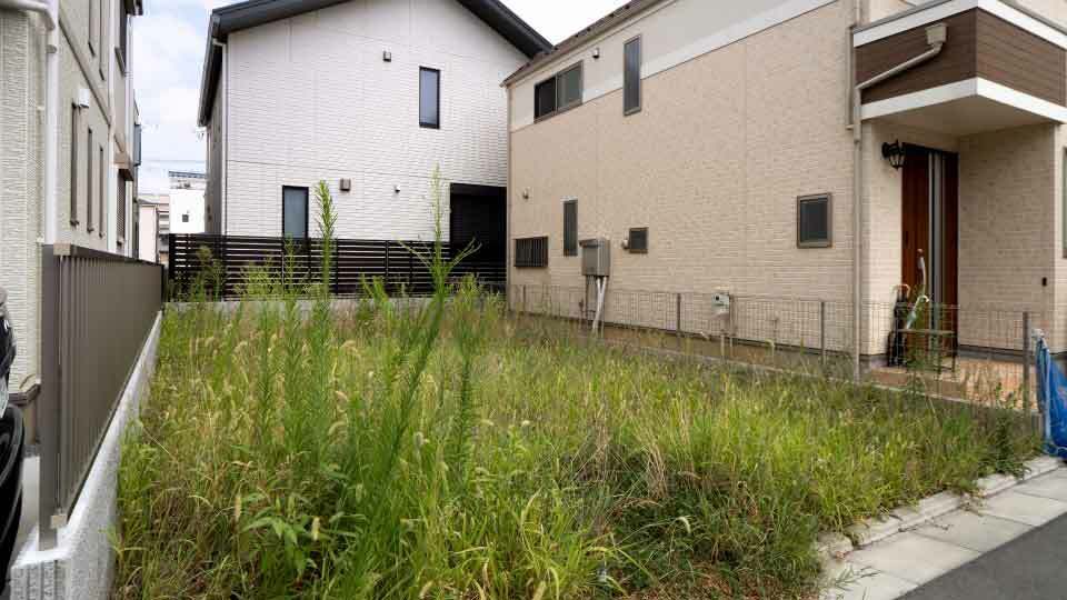 Infill Plot