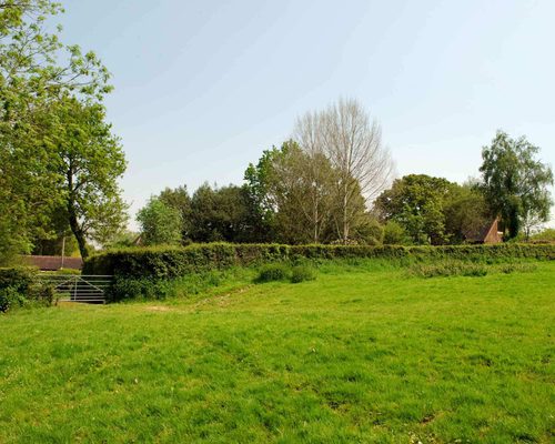 Potton plot services